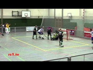 Resumen Liga en Alemania 2011/12.