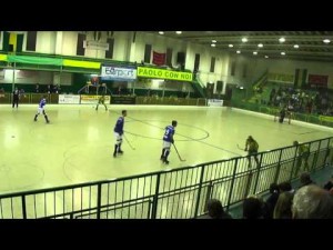 Amatori Vercelli-REH Novara(28-1-2012)ON-LINE