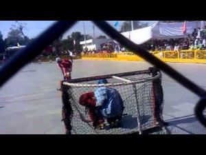 Falta Directa desde India. 2012. Punjab-Haryana