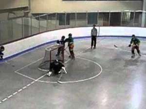 Paradas de un Portero de Hockey Linea