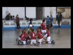 Resumen tamporada 12/13 CP Irlandesas