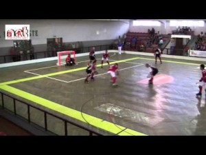 Final del Torneo Apertura APL 2012 2013