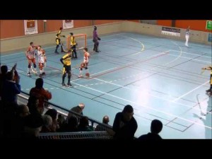 RINK HOCKEY Al. Plon&eacute;our-Villejuif -2014