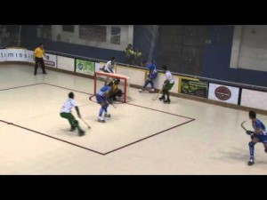 C. P. Voltreg&agrave; - C. P. Calafell Tot L'Any (Resumen)