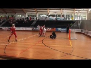 Francia - Inglaterra (Resumen)