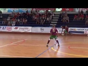 Austria - Portugal (Resumen)