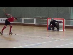 Austria - Francia (Resumen)
