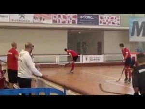 Alemania - Austria (Resumen)