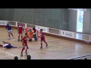 Suiza - Francia (Resumen)