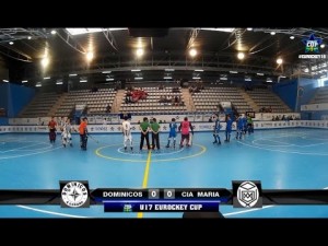 AA Dominicos - Compa&ntilde;&iacute;a de Mar&iacute;a (Resumen)