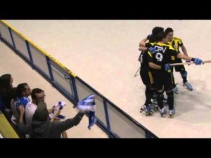 CP Voltreg&agrave; - ICG Software Lleida (Resumen)