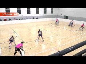 UVP Modena - Correggio Hockey (1&ordf; parte)