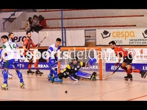 Highlights | OK Liga 17/18 - J. 15 | Reus Deportiu - ICG Softw. Lleida
