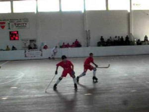 Campeonato Brasileiro de Hoquei de Patins 2010